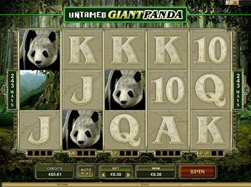 Untamed Giant Panda Slot Reels