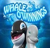 whale o winnings slot rival