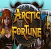 Arctic Fortune Slot