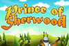 Prince Of Sherwood Slot Review