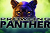 Prowling Panther Slot Review & Rating